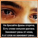 ���� �����, �����, 63 ���� - ��������� 2 ������ 2017 � ������ ������ ��������