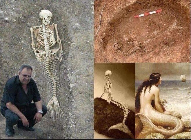          .   ...