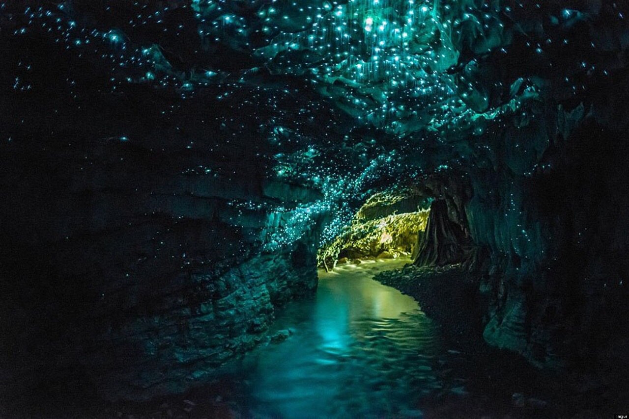 ,   .   (Waitomo Caves)     ...