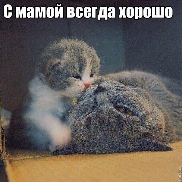 Art & Fun - 7  2016  12:39