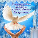 ���� ����, ����������������, 55 ��� - ��������� 26 ������� 2017 � ������ ������ ��������