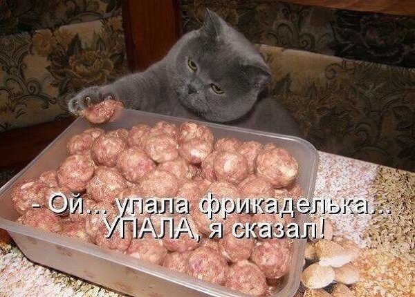    - 7  2016  06:14