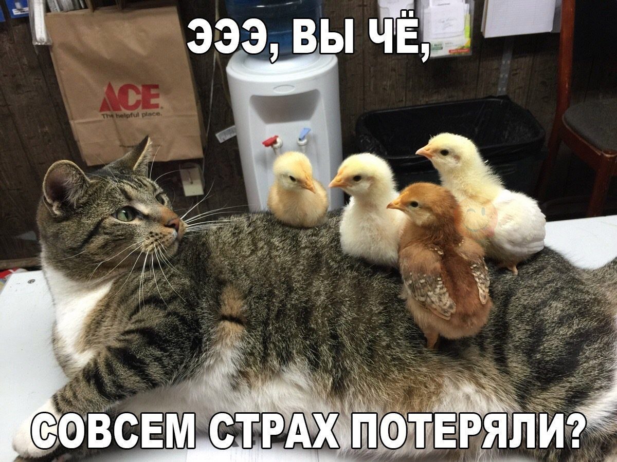   - 1  2017  09:29