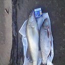 ���� �������, ��������� - ��������� 27 ������� 2016 � ������ �������� 2016�