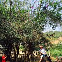 ���� ������, �����-���������, 52 ���� - ��������� 23 ������ 2017 � ������ ���� ����������