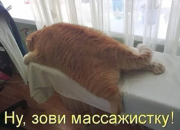       - 5  2016  22:32
