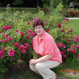 , 63, 