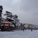  , , 60  -  3  2017     ,28.01.17.