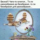 ���� �����, �����, 49 ��� - ��������� 11 ��� 2017 � ������ ���� ����������