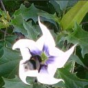 ���� &hearts; Svetlana &hearts;, ����������� - ��������� 10 ��� 2017 � ������ ����� ����.�