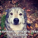 ���� ��������, �����-��������� - ��������� 12 �������� 2017 � ������ ������ ��������
