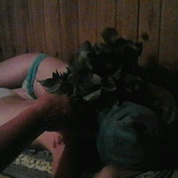 ���� �������, ������ ��������, 66 ��� - ��������� 1 ������� 2017