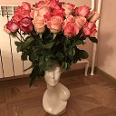 ���� ������, �������, 46 ��� - ��������� 3 ������� 2017 � ������ ���� ����������