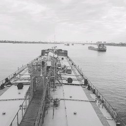 ���� ����, ������, 37 ��� - ��������� 11 �������� 2017