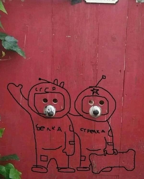   -    .