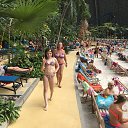 ���� ���������, ������� - ��������� 10 ���� 2017 � ������ �������, ����������� �������, 2017�