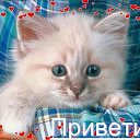 ���� �����, ������ - ��������� 19 ���� 2017 � ������ ������ ��������