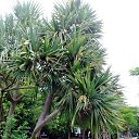 ���� �������, �������, 50 ��� - ��������� 2 �������� 2017 � ������ ������