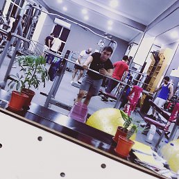 Amir, �������, 40 ���