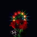 ���� ������, ���������� - ��������� 2 ������� 2017 � ������ ���� ����������