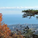  , , 60  -  16  2017        ,,14.10.17.