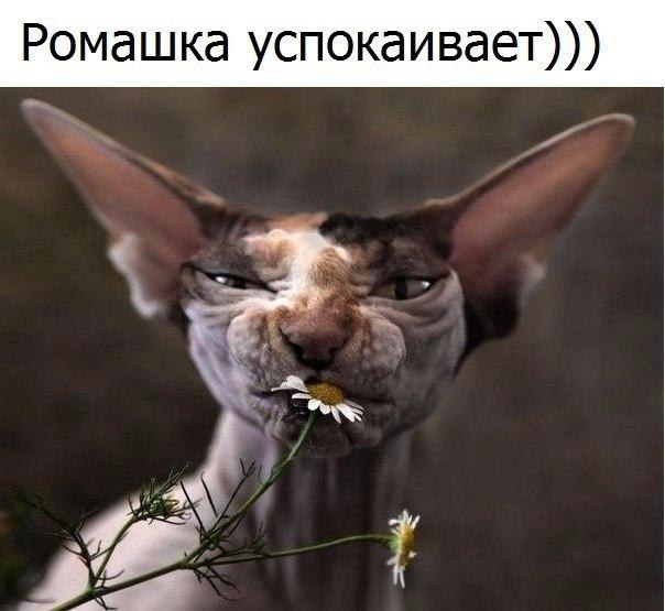   - 28  2017  16:51