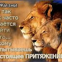 ���� ������, ����, 54 ���� - ��������� 5 ���� 2017