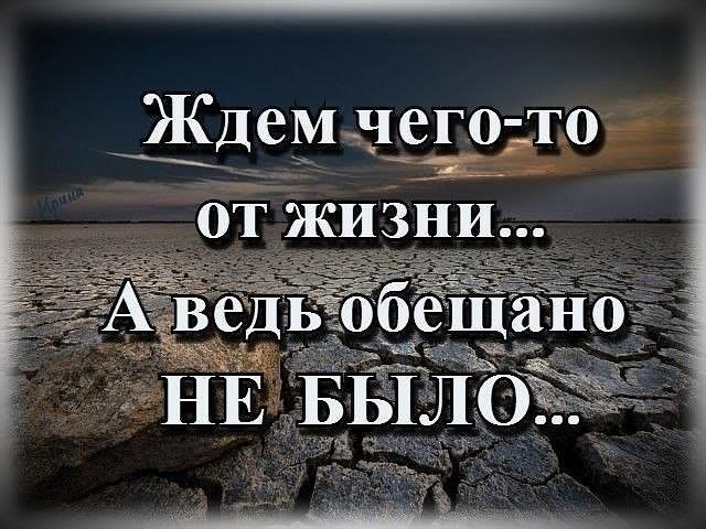  - 26  2017  02:31