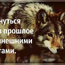 ���� �������� �������, ������ - ��������� 14 �������� 2017 � ������ ������ ��������