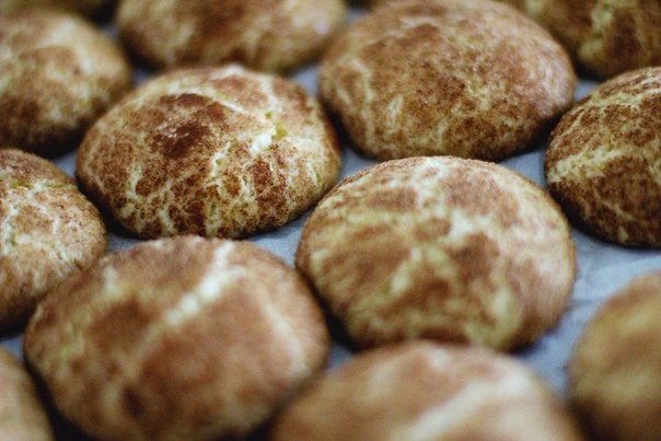  Snickerdoodle.:  2+3/4   1/4 . .  10  ... - 10