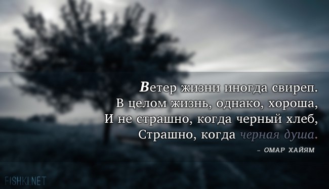 Живу однако. Темные мысли цитаты. Ветер афоризмы. Цитаты про ветер. Ветер и жизнь цитаты.