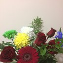 ���� Elina, ����, 50 ��� - ��������� 30 ������� 2017 � ������ ���� ����������