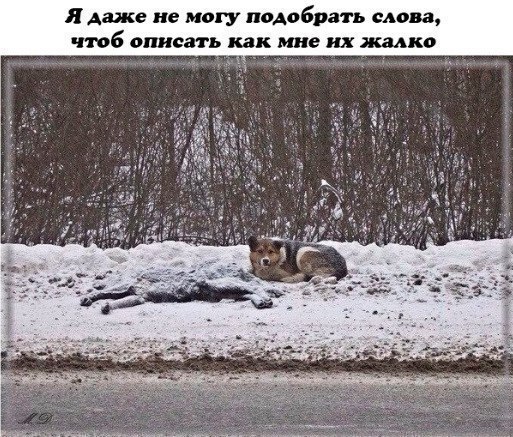   - 5  2017  20:34