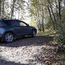 ���� ����, �����������, 47 ��� - ��������� 3 �������� 2017