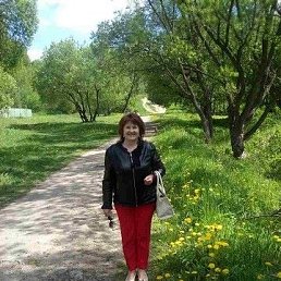 ������, ������, 66 ���