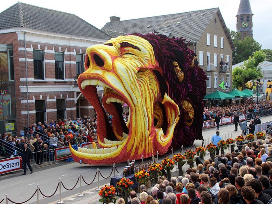 Цвет нидерландов. Фестиваль цветов Bloemencorso в Голландии. Парад цветов Bloemencorso в Голландии. Грот-Зюндерт. Грот-Зюндерт Нидерланды.