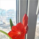 ���� ��������, �����������, 55 ��� - ��������� 17 ������ 2017 � ������ ���� ����������