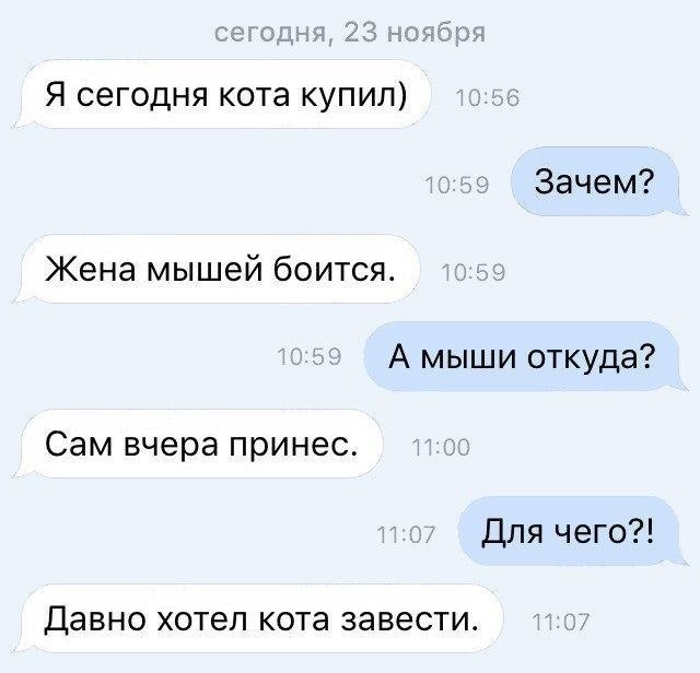    - 26  2017  19:06
