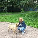 ���� �����, ������� - ��������� 14 ���� 2017 � ������ ���������� ������