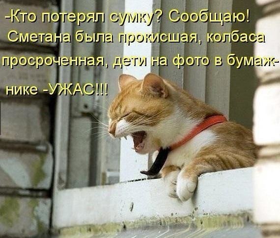     ,    .  500 ,  3628 . ))) - 2