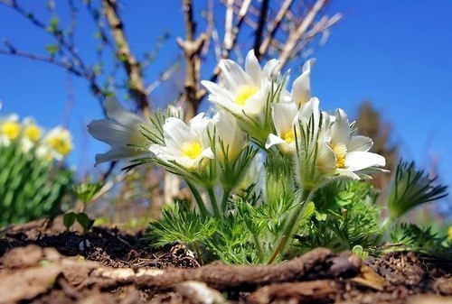 Просто так...загрустила Душа, Заблудилась на звёздной тропинке, Полетав у Большого Ковша, Отразилась ...