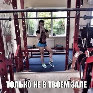  -   - 13  2017  12:08
