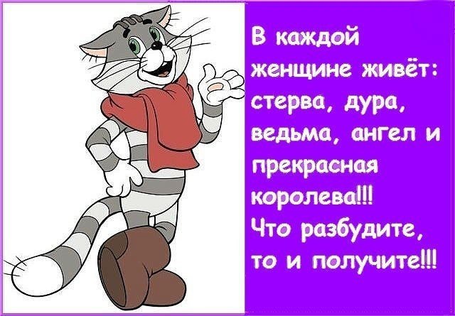,   ) ....... ..)) - 5