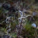 ���� ��������, ������������, 62 ���� - ��������� 4 ������ 2017 � ������ ������ ��������