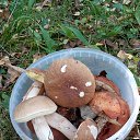 ���� �������, �������, 53 ���� - ��������� 25 ������� 2017 � ������ ���� ����������