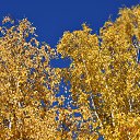  Full Moon, , 40  -  11  2017    