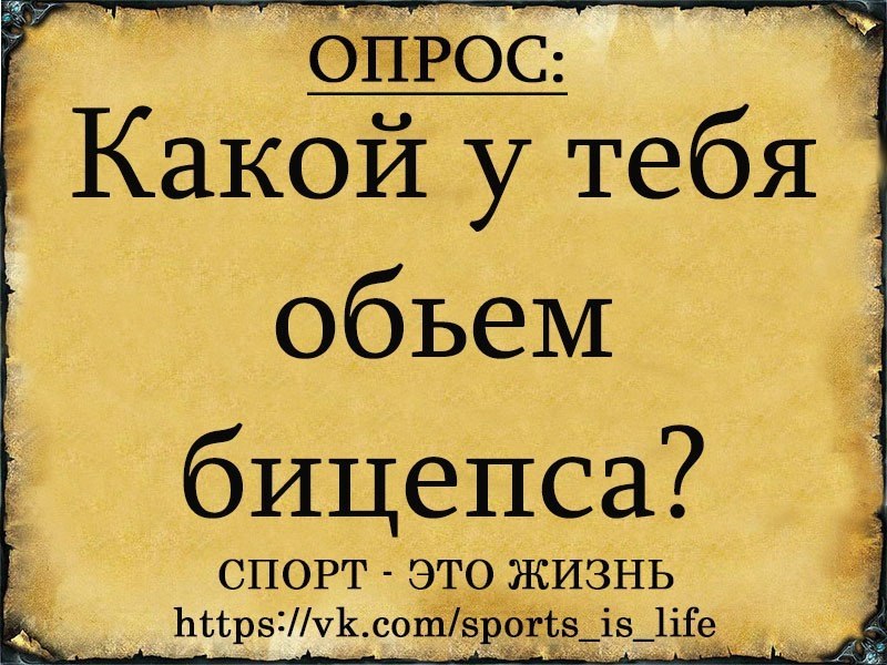  -   - 28  2017  03:32