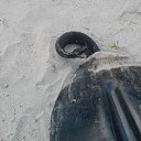 ���� �������, ����, 46 ��� - ��������� 7 ������ 2017 � ������ ������ ��������
