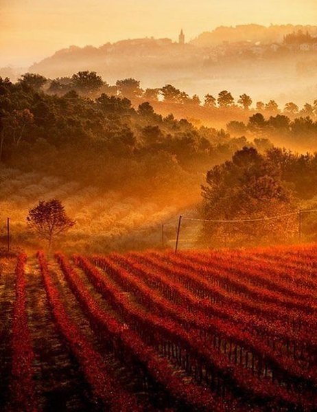 ������� | ���� 2016 | ������ | �������� | ������ - 20 ������� 2017 � 13:38 - 2