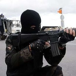 ���� Adil, ���������, 44 ���� - ��������� 8 ��� 2017